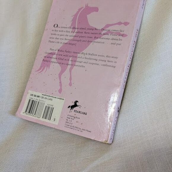 The Black Stallion, The Island Stallion, Learn to Draw Horses and Ponies - Picture 3 of 10